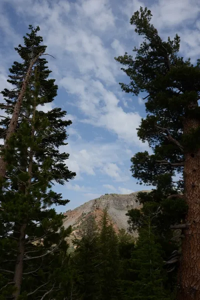 DSC_2939 (Large).JPG